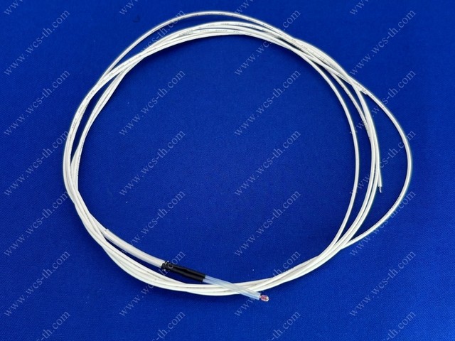 Temperature Sensor with out Terminal